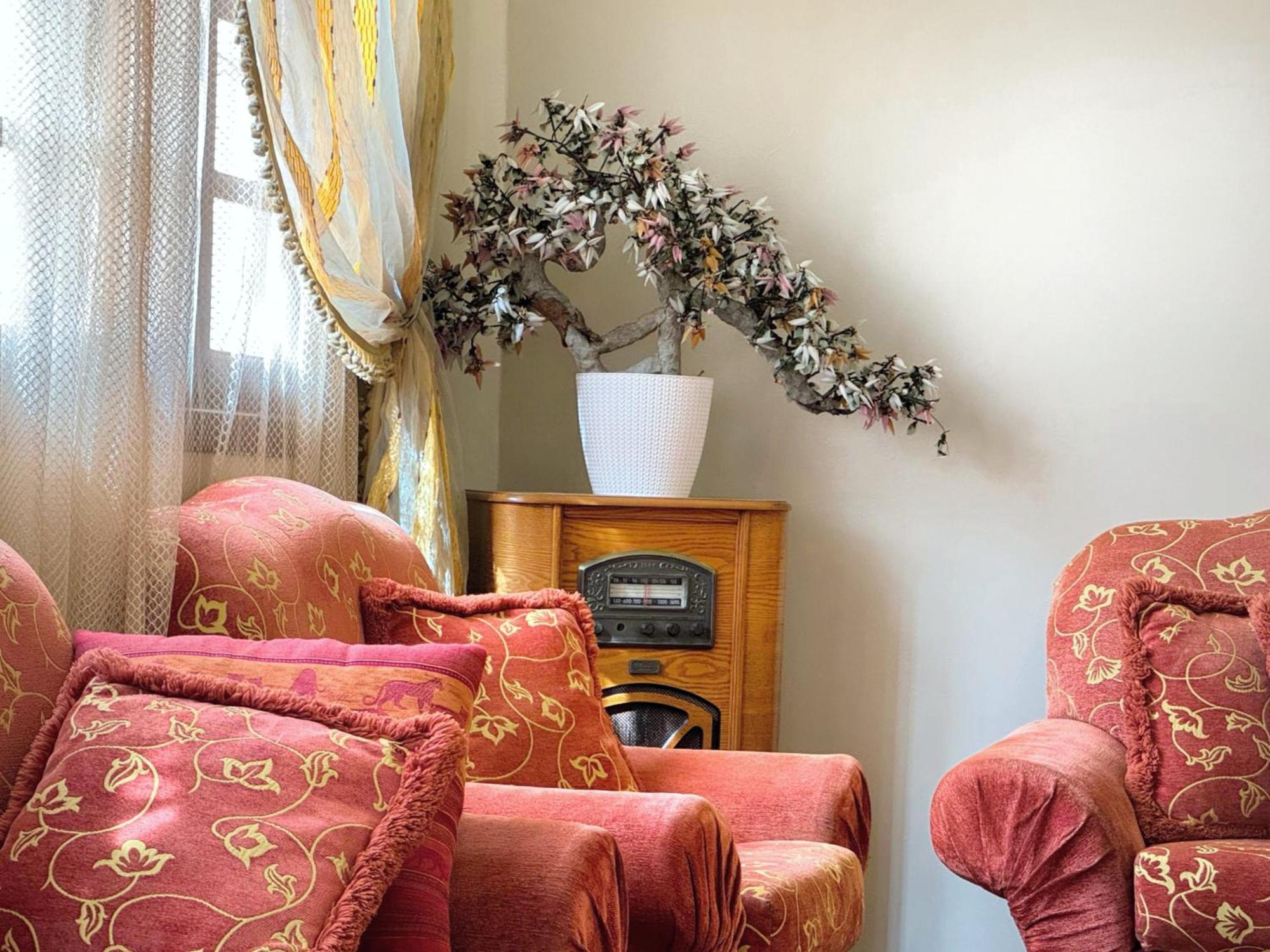 Oranger Family House City Center, Private Large House, Terasse Garden View, Free Parking Marraquexe Exterior foto